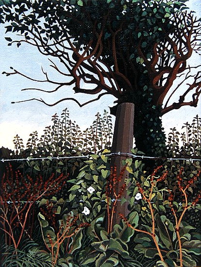 The Wire Fence (oil on canvas)  de Anna  Teasdale