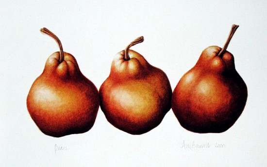 Pears, 2000 (w/c on paper)  de Annabel  Barrett