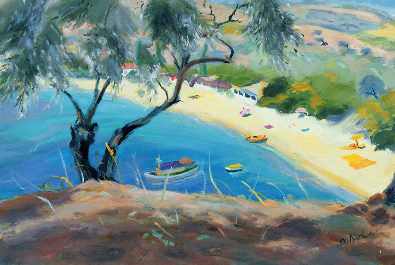 Achladies Bay, Skiathos, Greece, 1985 (oil on canvas)  de Anne  Durham