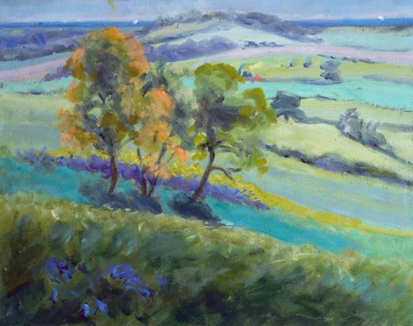 Towards Winchelsea, Sussex, with Bluebells in Spring (oil on canvas)  de Anne  Durham