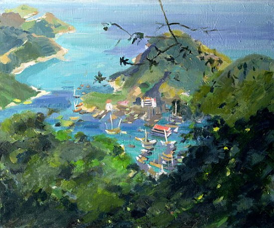 View of Aberdeen from the Peak, Hong Kong (oil on canvas)  de Anne  Durham