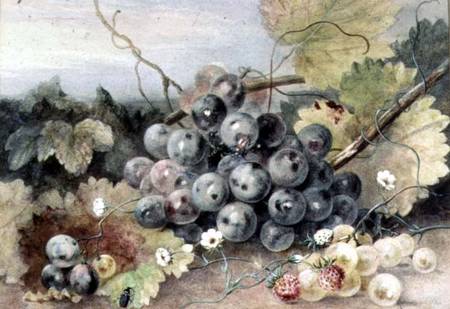 Grapes and Strawberries de Anne Frances Byrne
