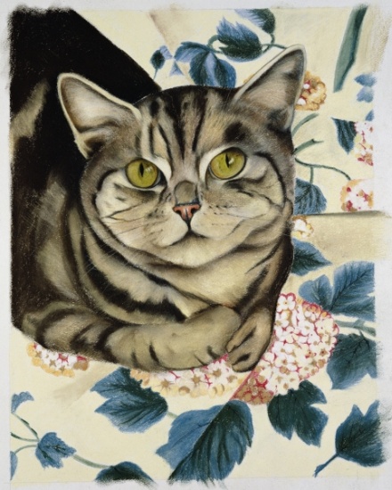 Tabby cat de Anne  Robinson