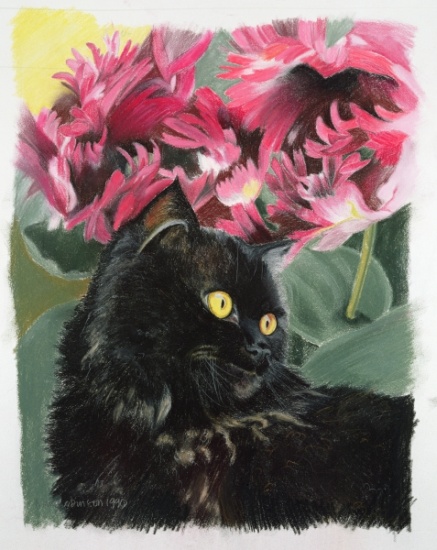 Black tulips de Anne  Robinson