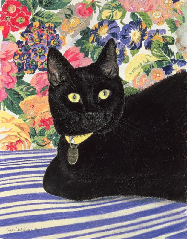 Black Cat (pastel on paper)  de Anne  Robinson