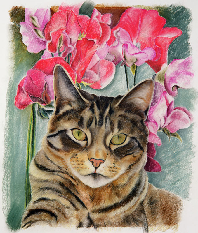 Cat with sweet peas de Anne  Robinson