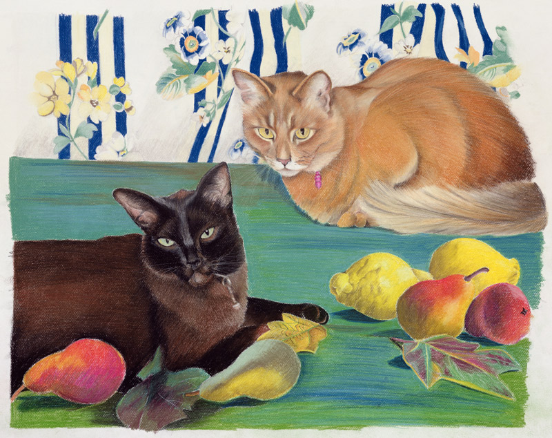 Cats with fruit de Anne  Robinson