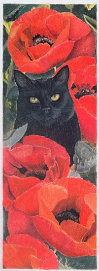 Black Cat with Poppies (pastel on paper)  de Anne  Robinson