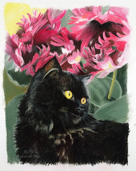 Black tulips de Anne  Robinson