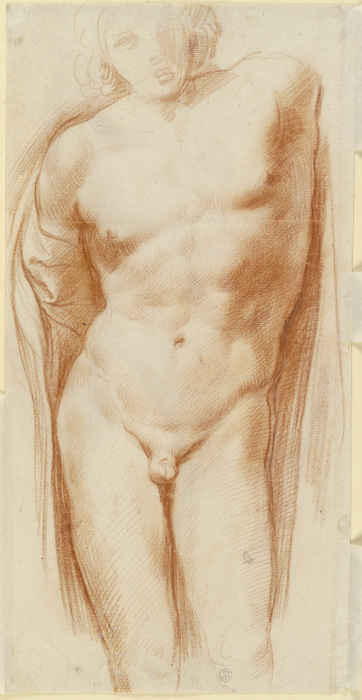 Nude of a boy de Annibale Carracci