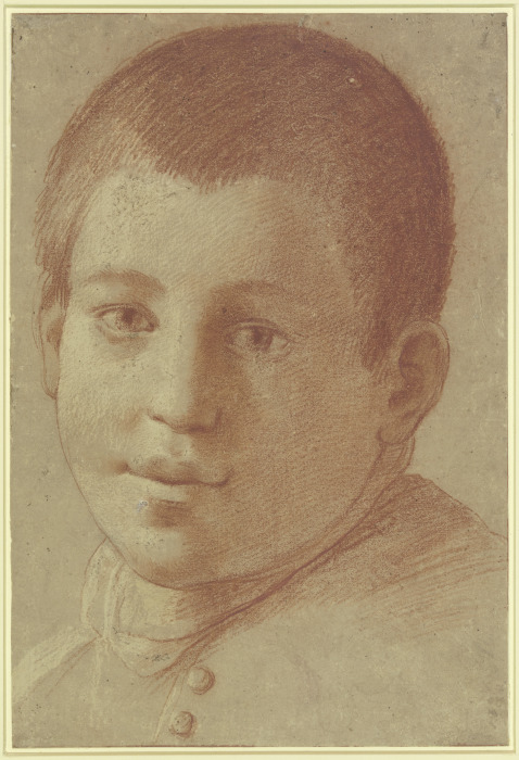 Portrait of a boy de Annibale Carracci