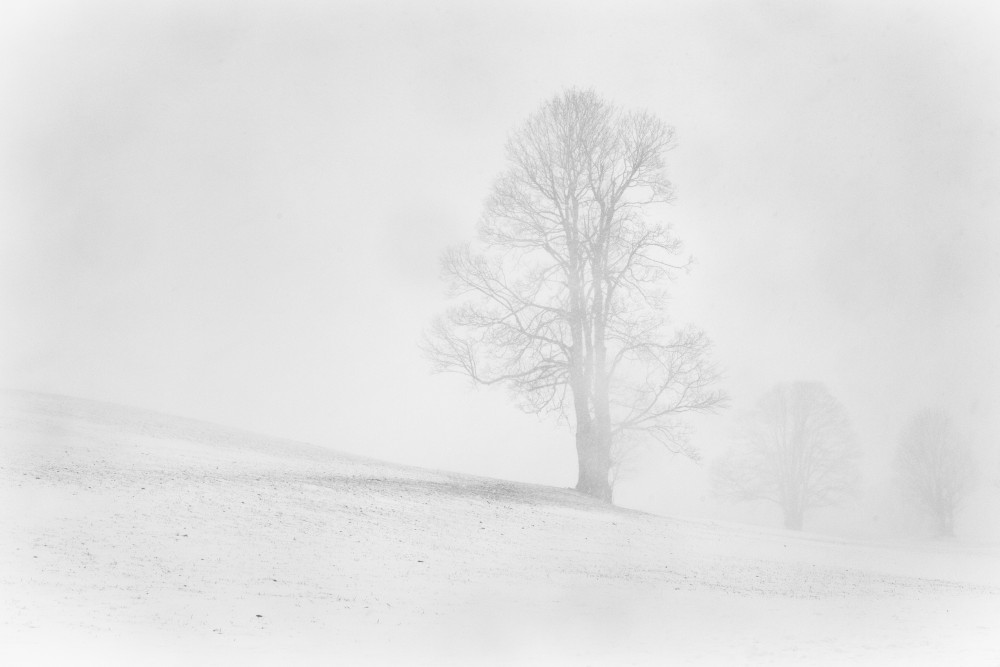 Misty winter in the Allgau de Annie Keizer