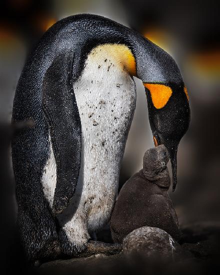 Feeding baby