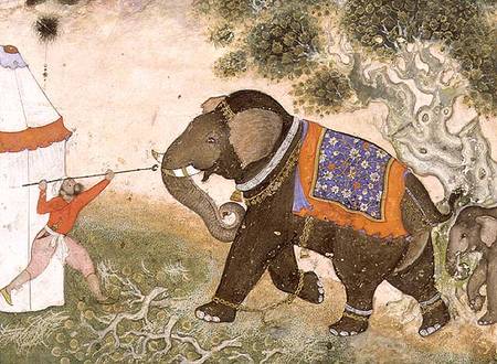 52.43 An enraged elephant, Mughal de Anonymous