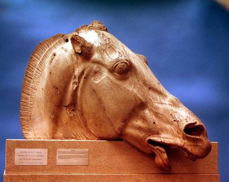 Head of one of the horses of Selene, goddess of the moon,from the east pediment of the Parthenon de Anonymous