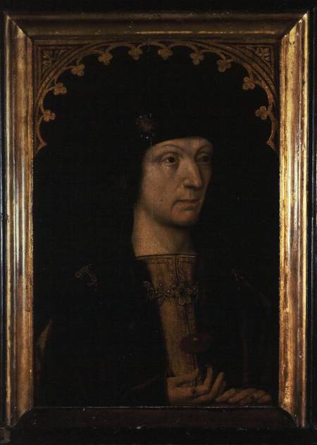 King Henry VII de Anonymous