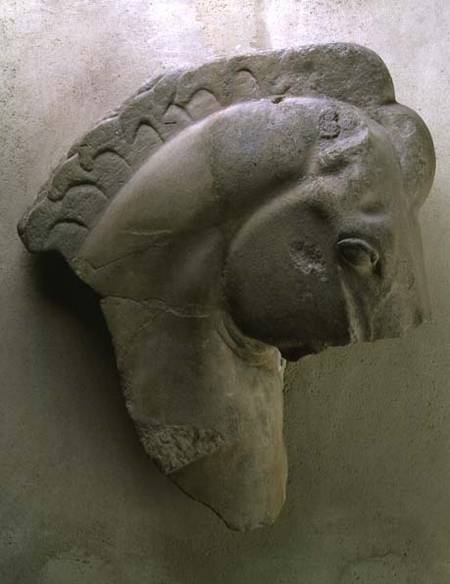 The Mares of Diomedes, detail of a horse's head from a series of metopes depicting the Labours of He de Anonymous