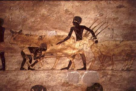 Procession with cattle and gazelles, detail from a tomb wall painting,Egyptian de Anonymous