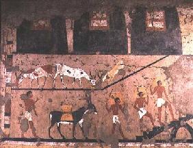 Agricultural scene, wall painting removed from the Mastaba of Ti at Sakkara, Old Kingdom