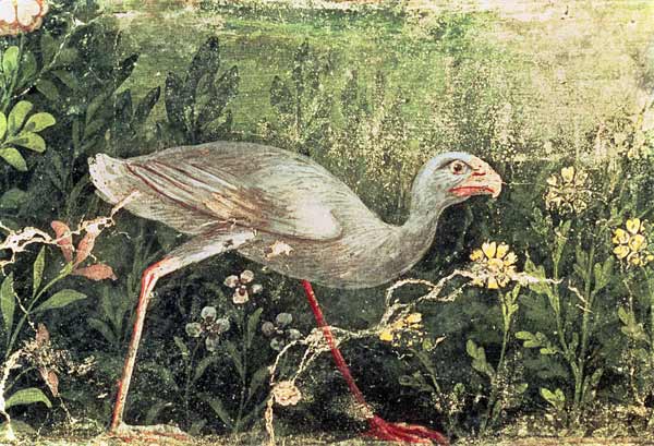 Wall painting of a Sultan chicken in a gardenPompeii de Anonymous