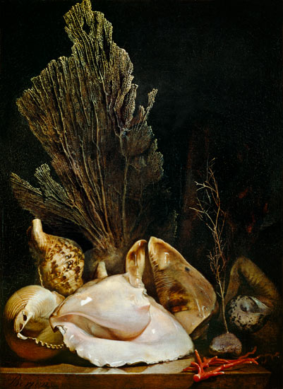 Still Life of Shells and Coral de Antoine Berjon