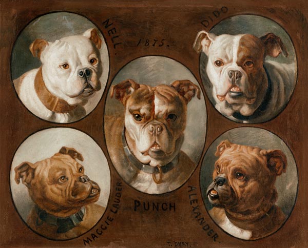 Nell, Dido, Punch, Maggie lauder and Alexander, English Bulldogs de Antoine Dury