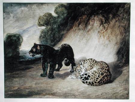 Two Jaguars from Peru de Antoine Louis Barye