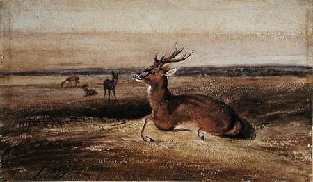Resting Deer de Antoine Louis Barye