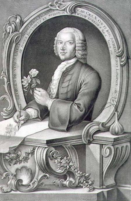 Portrait of Georg Dionysius Ehret (1710-70) engraved by Johann Jakob Haid (1704-67) de Anton Heckel