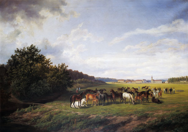 View of the Kladrub Studfarm in Bohemia de Anton Schiffer