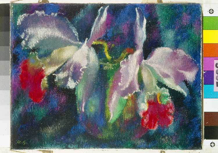 Orchidee de Antonio Augusto Giacometti