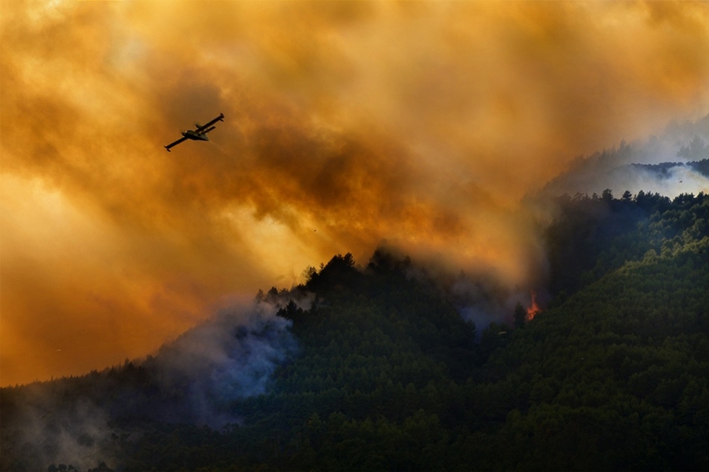 Fire in the Cilento National Park - Italy de Antonio Grambone
