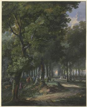 Spaziergänger im Haager Wald