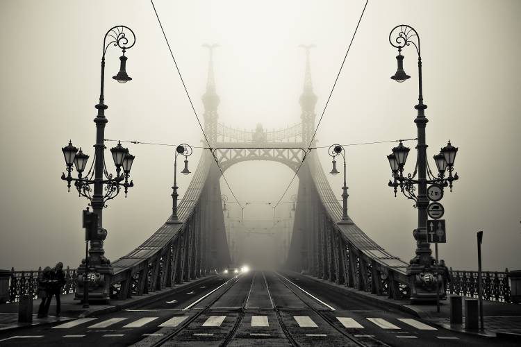 The Bridge de Armin Marten