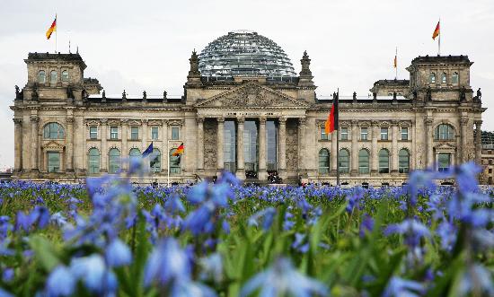 Blumenwiese vor Reichstag de Arno Burgi