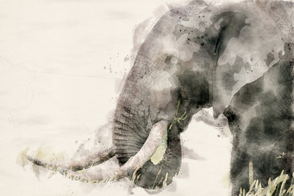 Abstract African Elephant Watercolor Art de Arno Du Toit