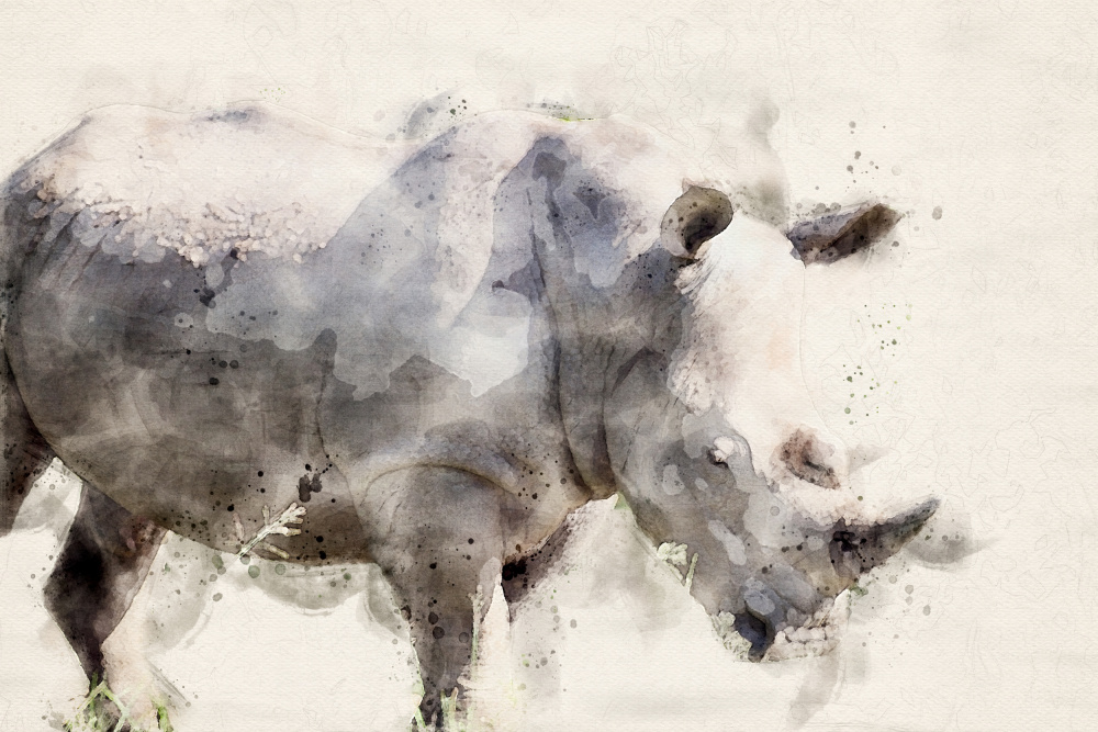 Abstract African Rhinoceros Watercolor Art de Arno Du Toit