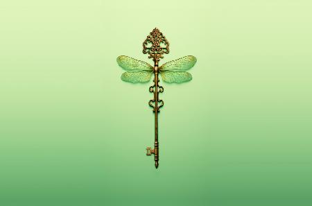 Key Dragonfly