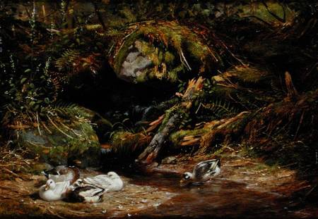 Ducks at the Spring Head de Arthur Fitzwilliam Tait