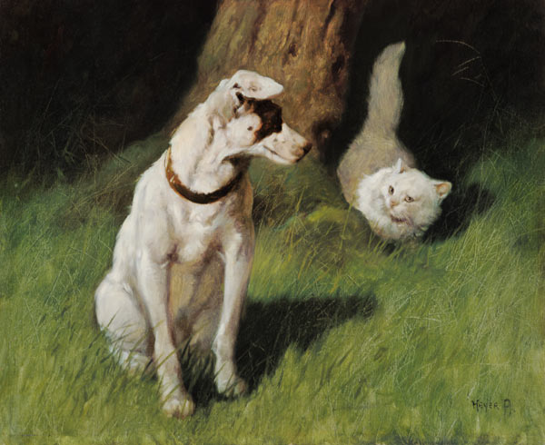 White Persian Cat and Jack Russell de Arthur Heyer