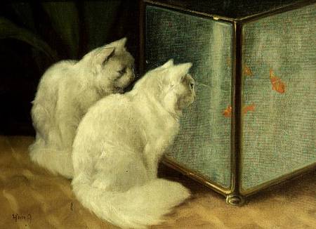 White Cats Watching Goldfish de Arthur Heyer