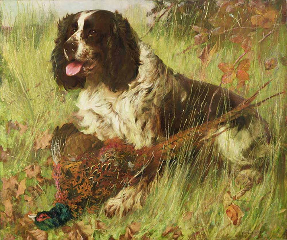 Springer Spaniel with Pheasant de Arthur Wardle