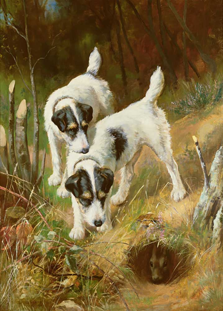 Terriers Rabbiting de Arthur Wardle