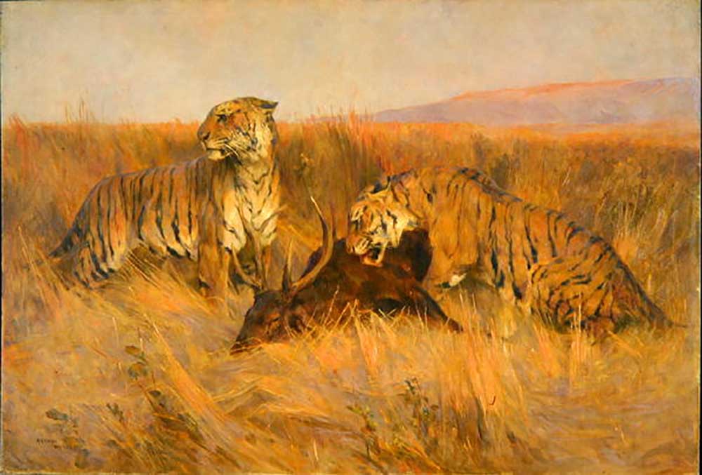 Tigers at Kill de Arthur Wardle