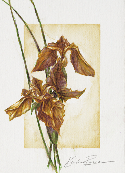 Golden Irises de ArtLifting ArtLifting