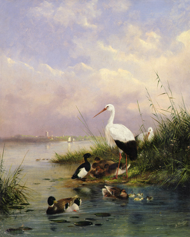 A family of Mallard, two Storks and a family of Tufted Ducks de Augustus Knip