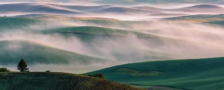 Dream Land in Morning Mist-1