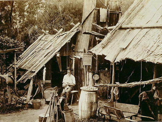 Australian prospector, c.1880s (sepia photo) de Australian School, (19th century)