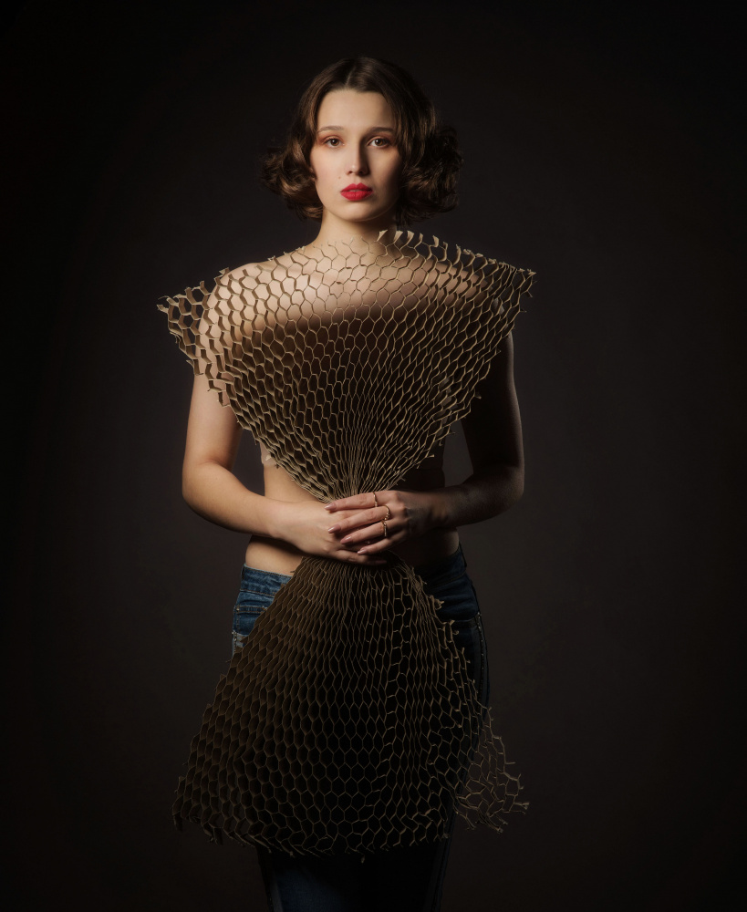The Cardboard Dress 3 de Axel K. Schoeps