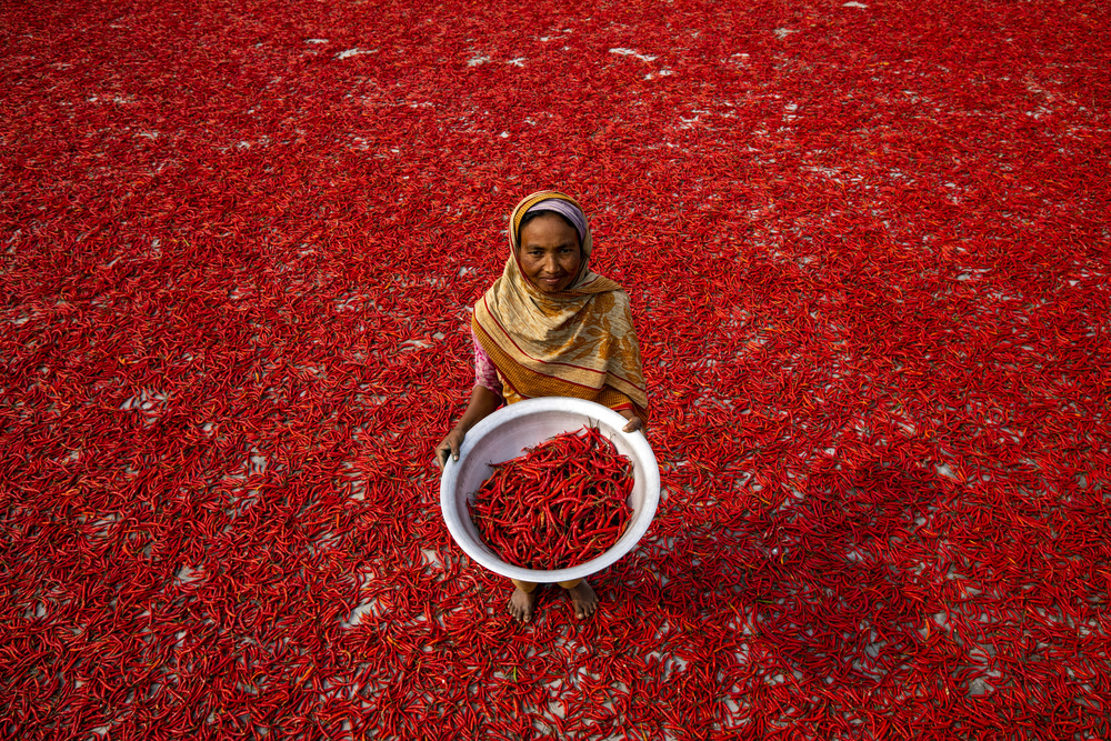 Red chilli worker de Azim Khan Ronnie